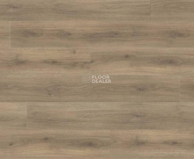 Haro Tritty 100 Gran Via 4V ДУБ ЭМИЛИЯ БАРХАТ КОРИЧНЕВЫЙ 538771 фото 1 | FLOORDEALER